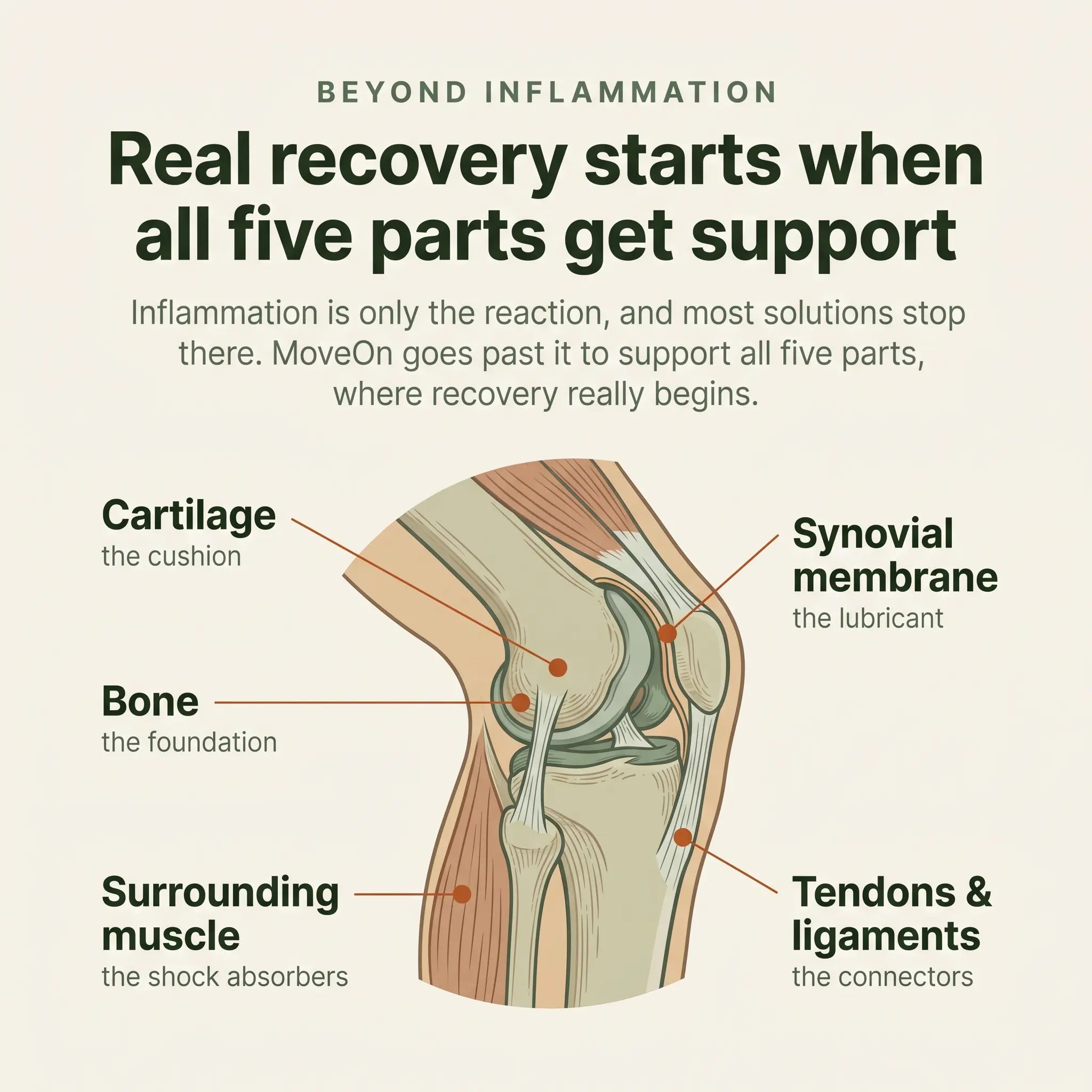 Moveon™