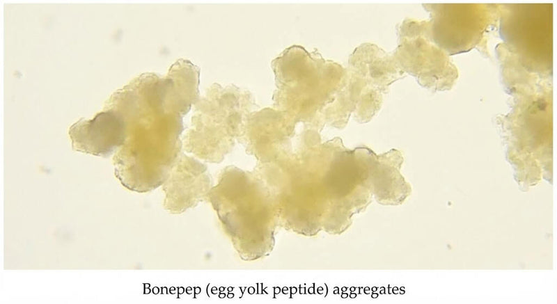 Bonepep®