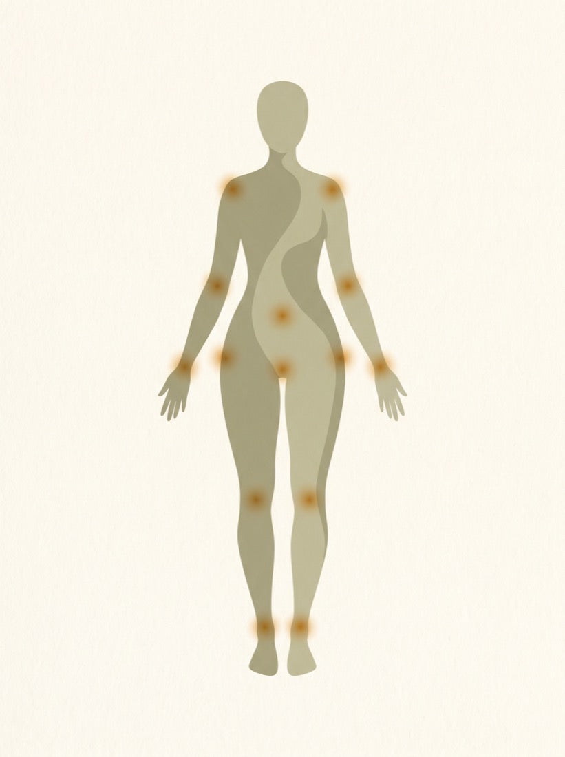 An illustrated human figure with the joints MoveOn supports gently highlighted